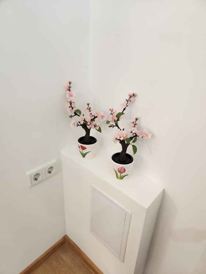 Apartman Zagreb Cca 42M2 With Free Parking Ngoại thất bức ảnh