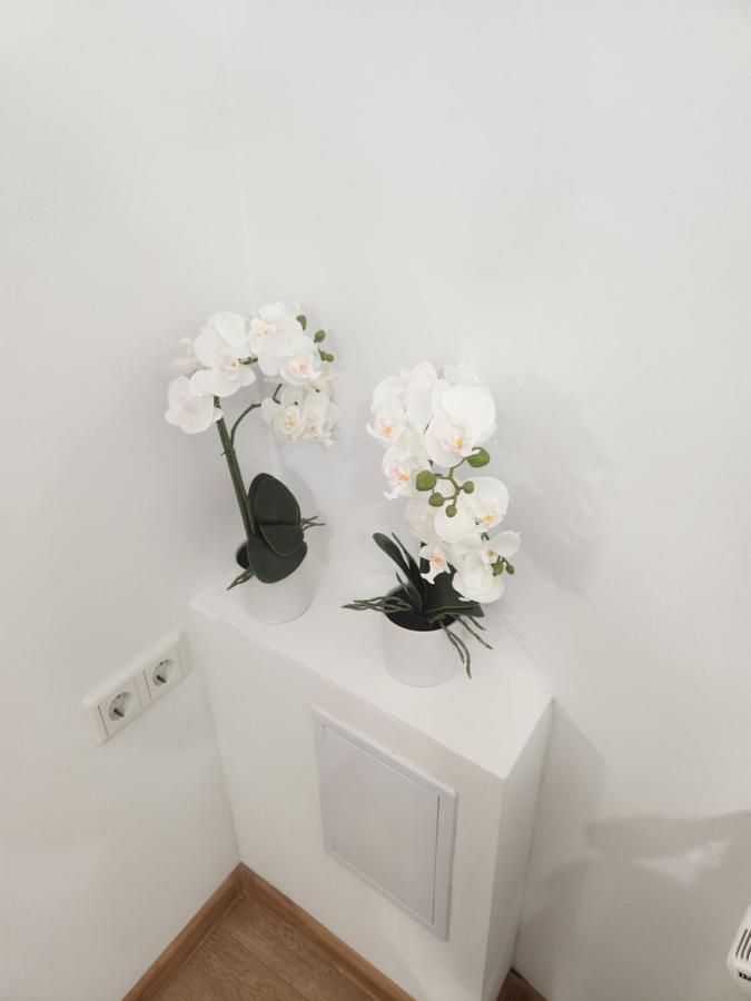 Apartman Zagreb Cca 42M2 With Free Parking Ngoại thất bức ảnh